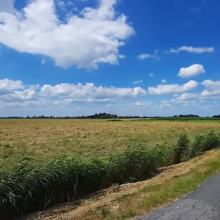 Zwergmoewe Apartamento *