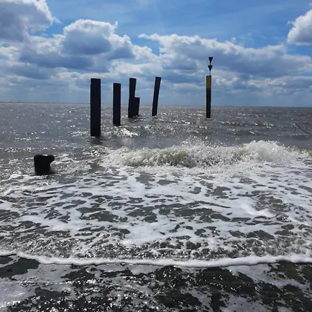 Zwergmoewe Apartamento Butjadingen